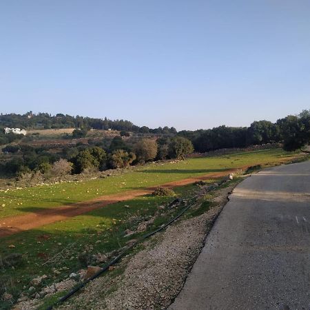 Benichuta Apartman Mitzpe Hila Kültér fotó