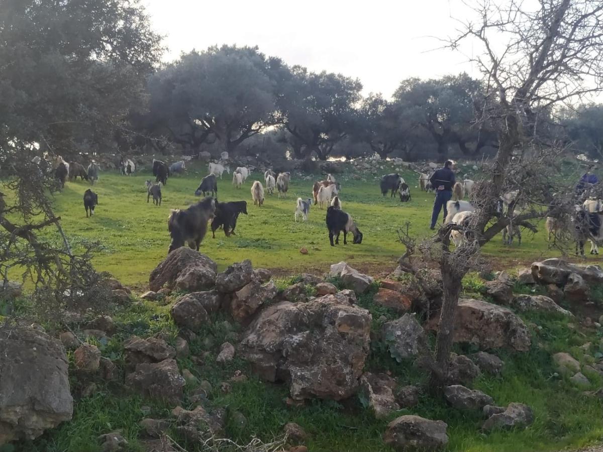 Benichuta Apartman Mitzpe Hila Kültér fotó